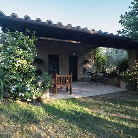 Dimora Borgogni: Country House Перуджа Экстерьер фото